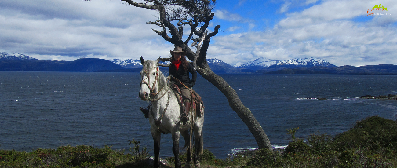 Torres del paine
