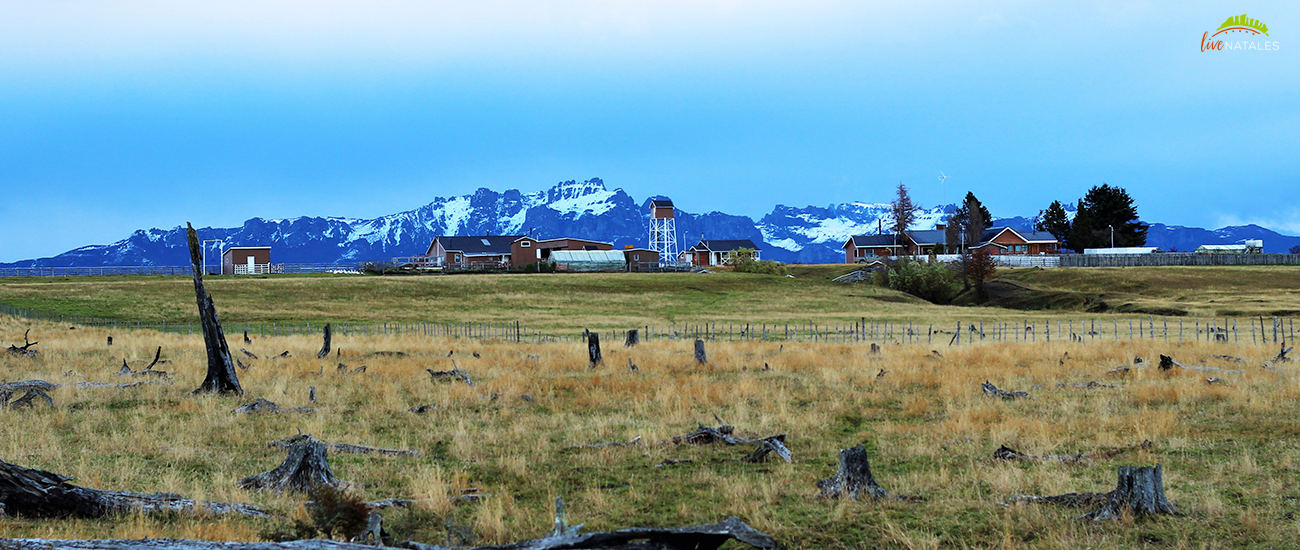 Torres del paine