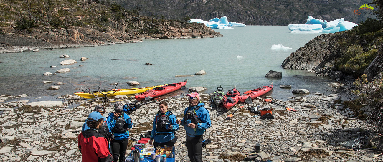 Torres del paine