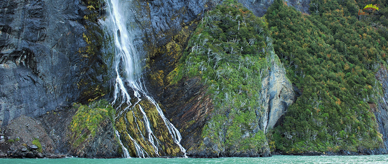 Torres del paine