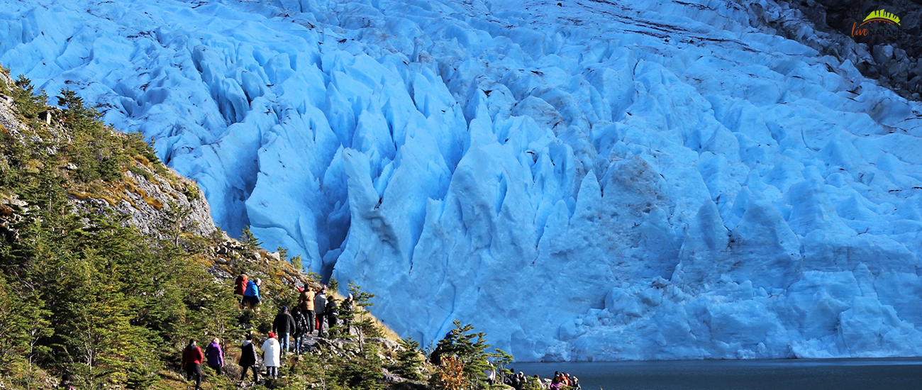 Torres del paine