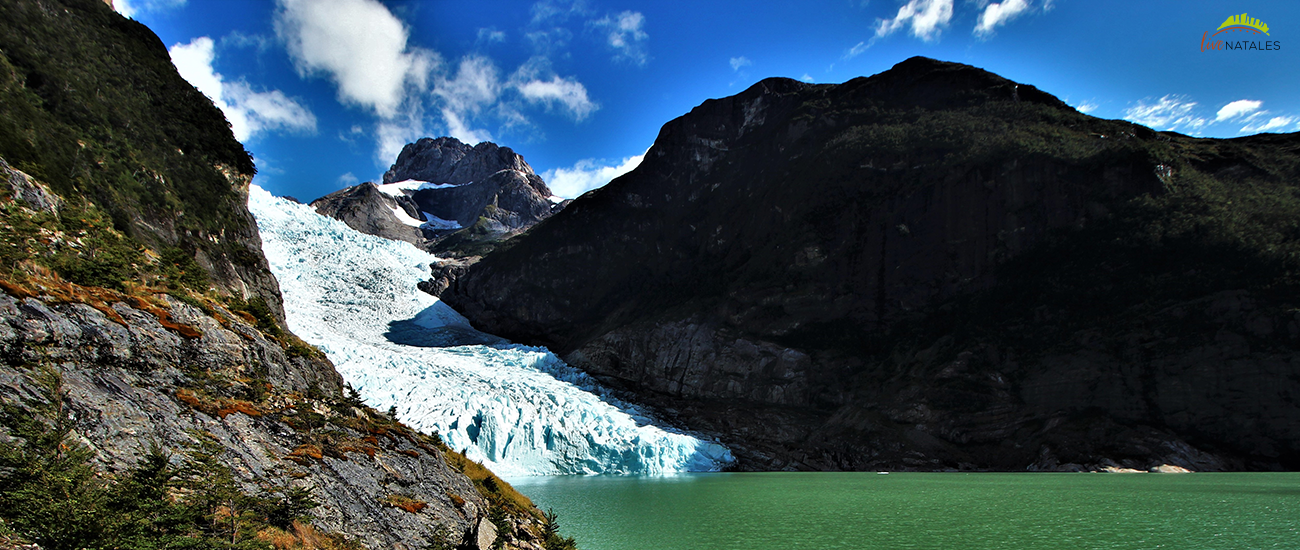 Torres del paine