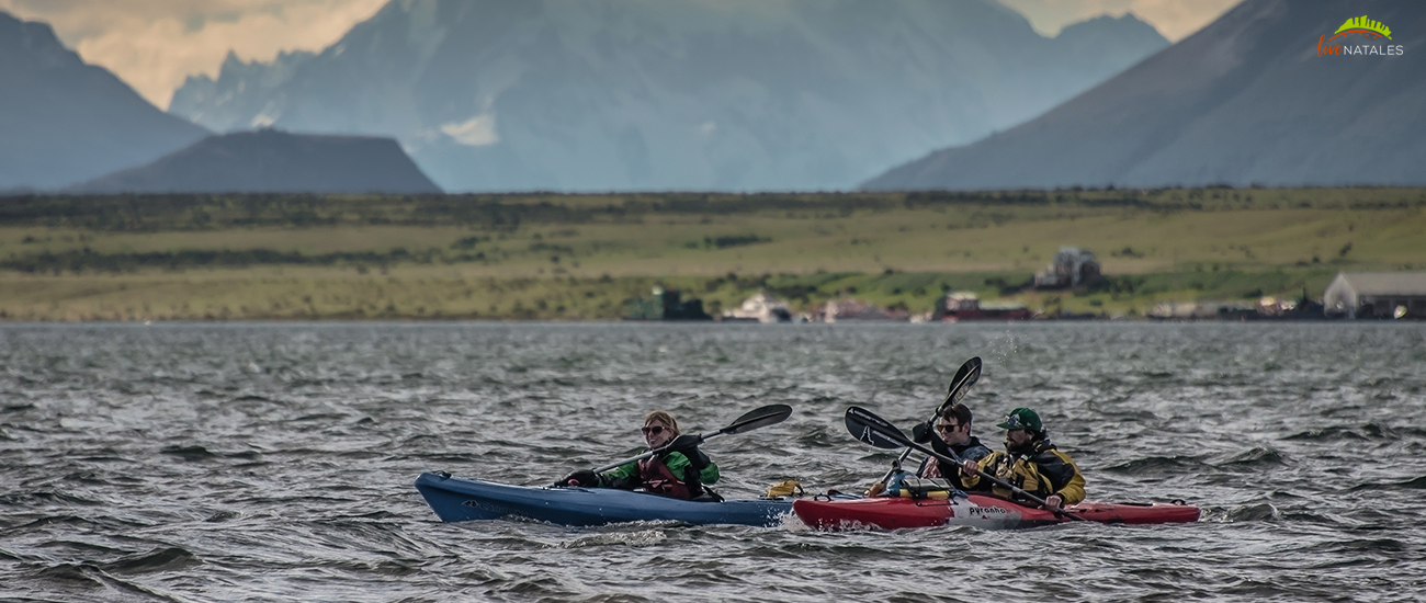 Torres del paine