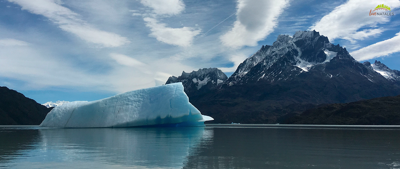 Torres del paine
