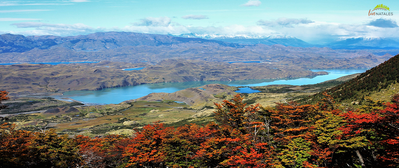 Torres del paine