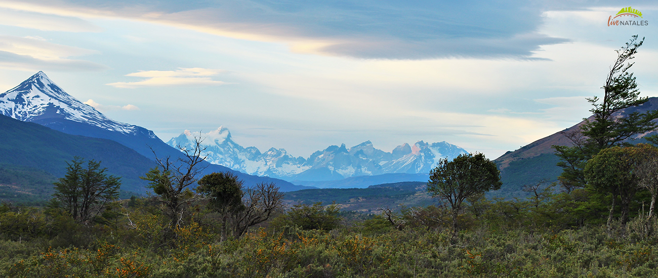 Torres del paine