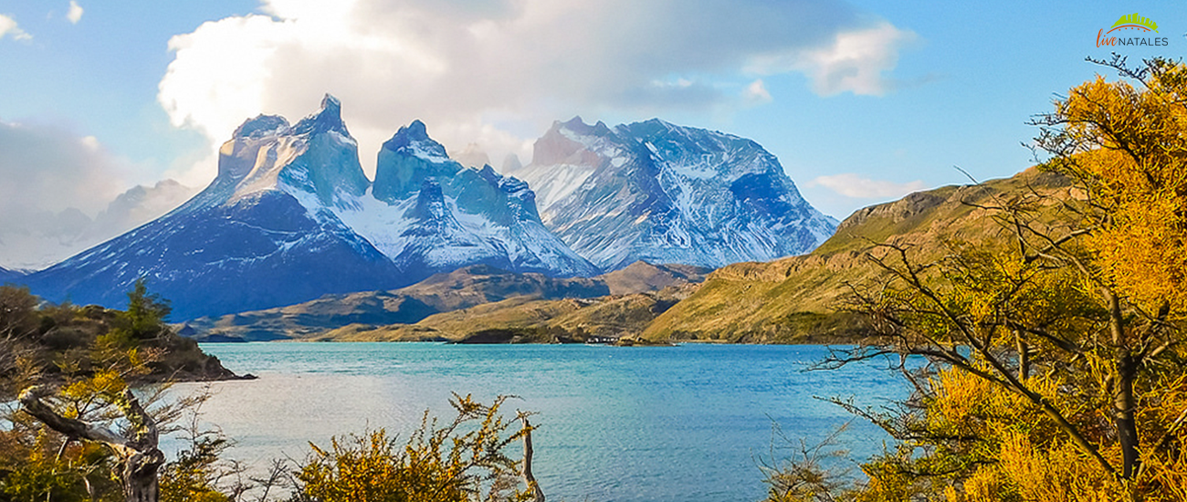 Torres del paine